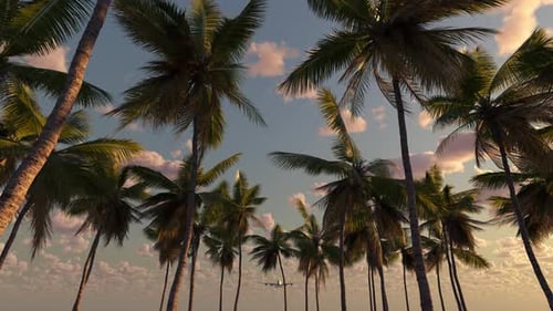 The airplane flies over the beach and palm trees.