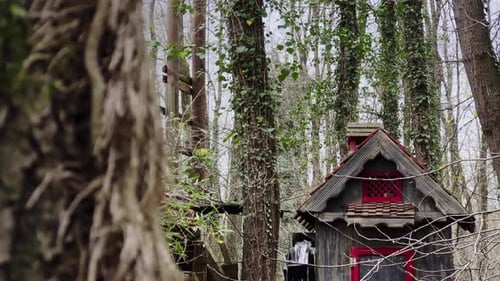 Water Mill In Nature 1