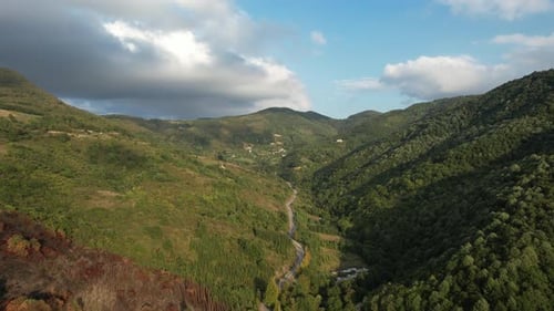 Forest Valley and Mountains