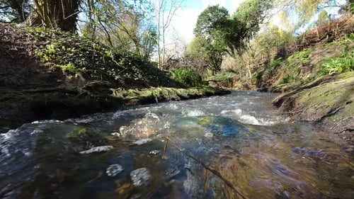 Flowing Freshwater Stream Through Green Woodland Ravine Under Bright Spring Sunlight Clear River