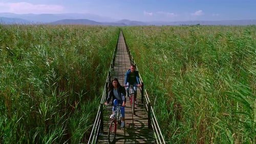 Tourist Couples Cycling In The Reeds
