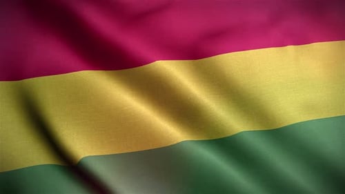 Realistic Waving Red Yellow Green Flag Loop