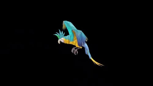 Animated Blue and Yellow Parrot Flying
