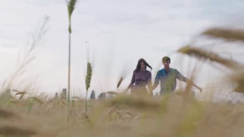 Un couple amoureux marchant sur un champ de blé vert se tenant la main