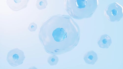 Abstract Fluid Cells Medical Background Animation