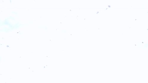 Macro Foam Bubbles Popping and Blown By the Wind on the Surface Abstract Background Slow Motion