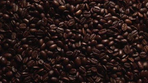 Nahaufnahme der Kaffeesamen von oben