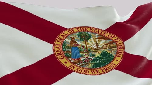 Realistic Waving Flag of Florida with State Seal Seamless Loop
