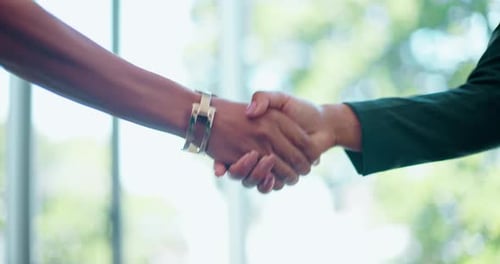 Business people, handshake and welcome for meeting, hello and collaboration of office partnership