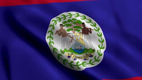 Waving Belize Flag Seamless Loop Background