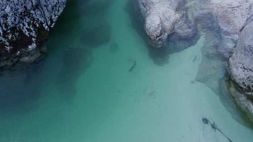 Вид с воздуха на спокойную реку в Юлийских Альпах, Бовец, Словения.