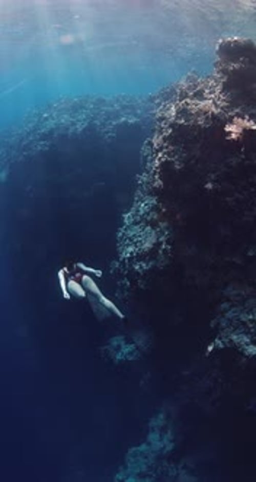 Female Free Diver Glides Deep in Blue Ocean Woman Freediving in Near Rocks Vertical Shot