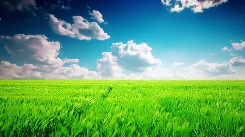 green field and cloudy sky timelapse
