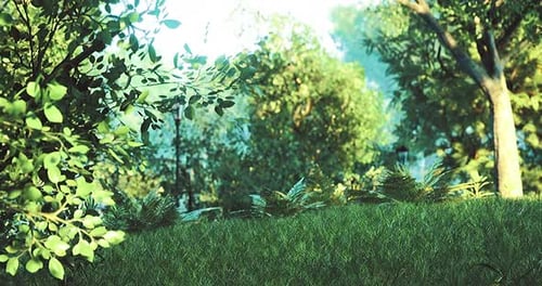 Lush Green Meadow Surrounded By Vibrant Plants in the Morning Sunlight