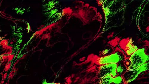 Vibrant Red and Green Fluid Abstract Motion Background