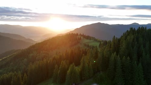Sunrise Over Forested Mountain Ridge Landscape Breathtaking View of Sunrise Casting Golden Light