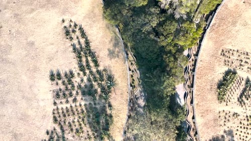 Shot of bosque de chaputepec in mexico