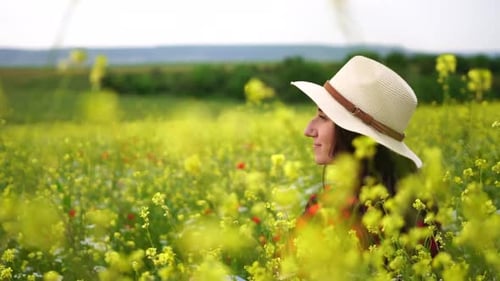 Kaukasische Frau hält einen frisch gesammelten Strauß weißer Gänseblümchen in einem wunderschönen Frühlingsgras