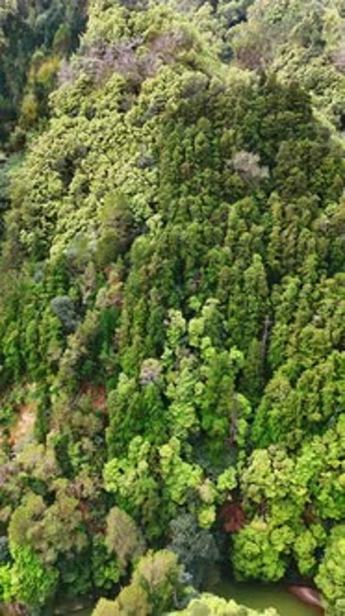 Beautiful lush greenery covering the rocky landscape. Road passes by the picturesque mountain.