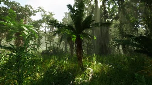 Lush Tropical Jungle in Southern China Showcasing Diverse Flora and Sunlight