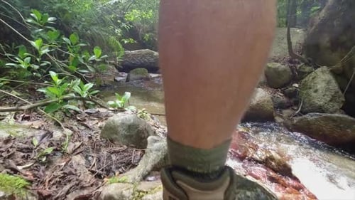 POV: Hairy legs and hiking boots of man crossing narrow jungle stream