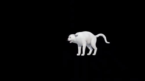 Weiße Katze greift an