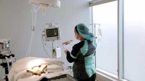 Veterinarian skillfully checking vital signs for dog in calgary alberta operating room