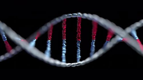 Colorful DNA Double Helix Structure
