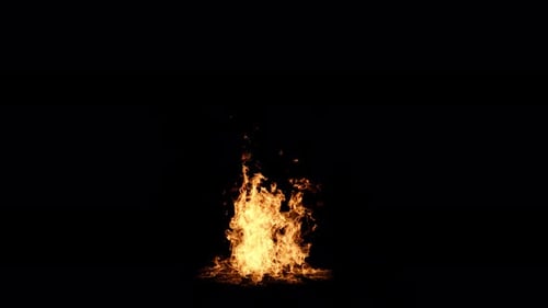 Bodenfeuer 2