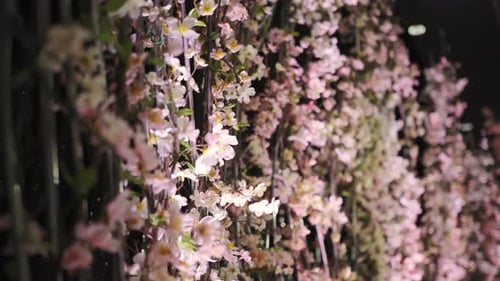 A Large Hall for Celebrations Interior of a Wedding Hall Wedding Decoration Close Up