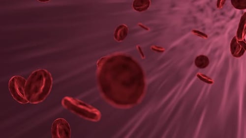 red blood cell animation design