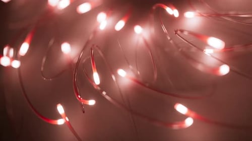 Glowing Red String Lights for Festive Celebrations