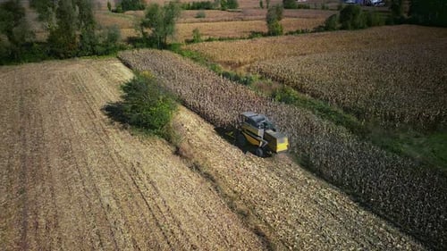 Corn Harvesting - 4K