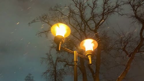 A Street Lamp Under a Snowfall at Night