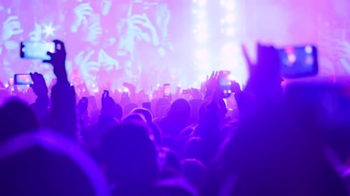 Crowd at concert illuminated by blue and pink lights