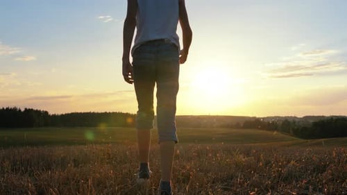 Teen Walks Through Golden Field at Sunset