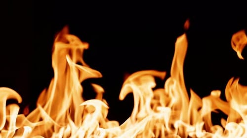 Fire Burning A Bright Burning Flames on a Black Background Fire in Slow Motion Wall of Real Fire