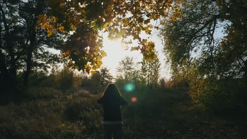 Unrecognizable Young Woman Jumping in Autumnal Forest and Throwing Yellow Maple Leaves Color Foliage