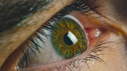 Macro View of Detailed Green and Yellow Human Eye