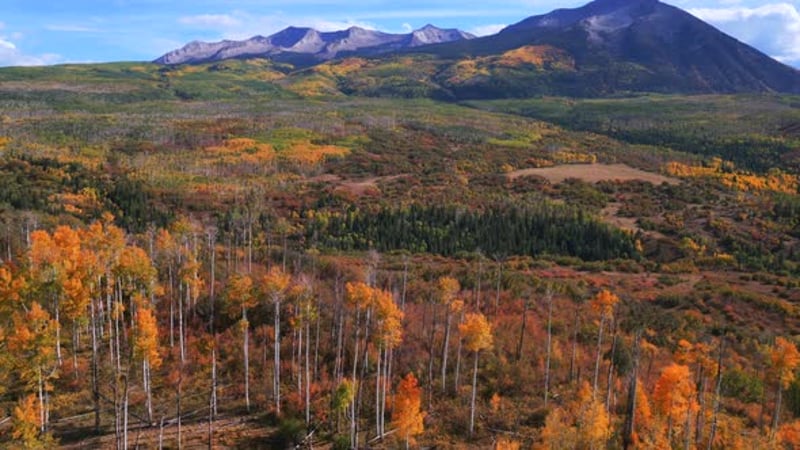 Kebler Pass Ruby Afley Ruby Peak Lake Irwin Paonia Somerset Crested ...