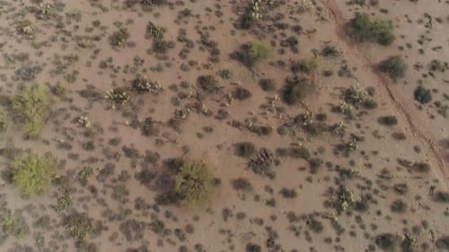 AERIAL - Drone Overhead Shot of Desert Landscape