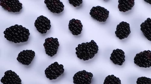 Rotating Blackberry Berries on White Background Top View
