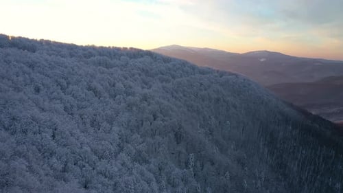 Winter Sunrise Above The Mountain Forest 11