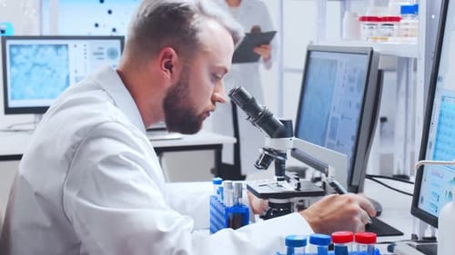 Scientists Working in Bright Modern Laboratory