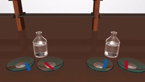 Expérience de physique démontrant la rotation d'aimants dans un liquide