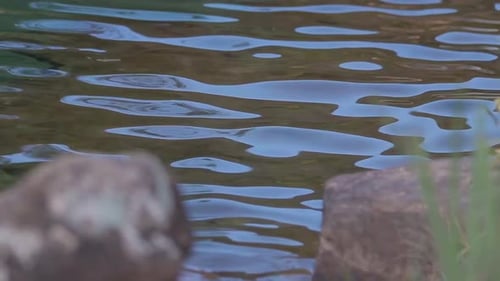 Lichtreflexionen auf dem Wasser eines kristallklaren Flusses