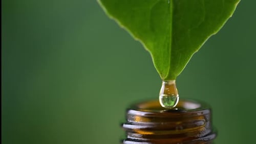 Alternative herbal medicine concept.