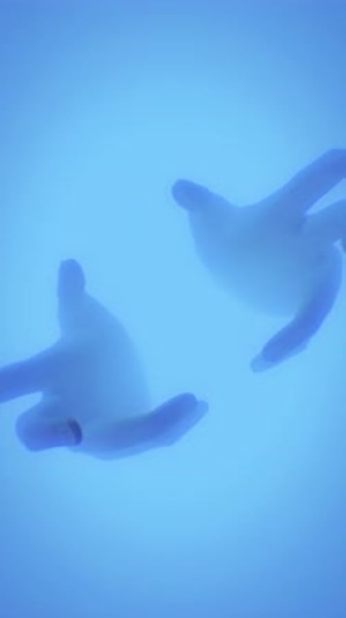 Ethereal Fluid Hands Appearing and Disappearing Animation