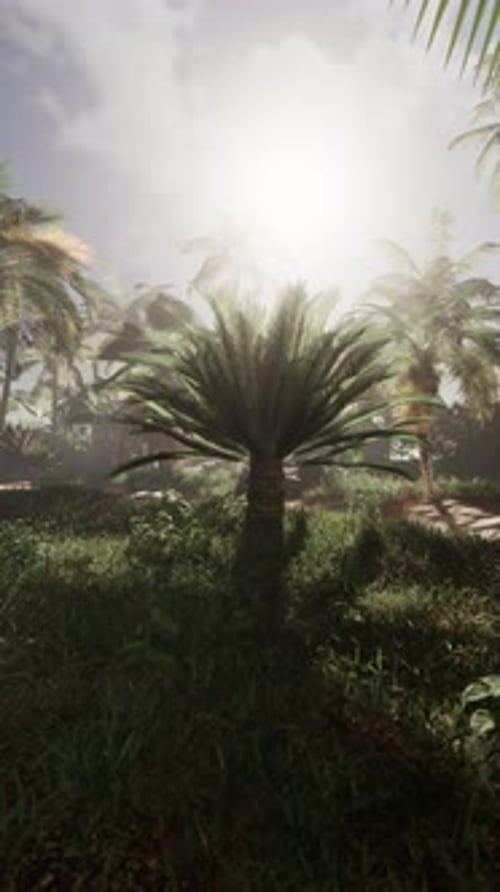Palm Tree Standing in Grassy Field