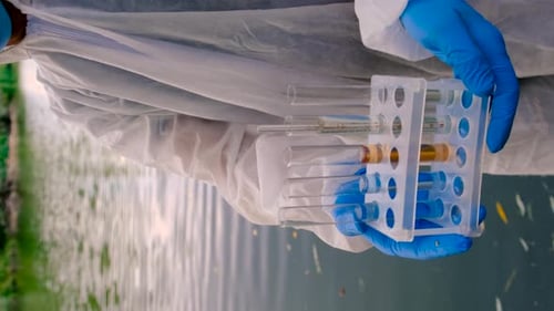 Conduct a Water Study on a River Selective Focus